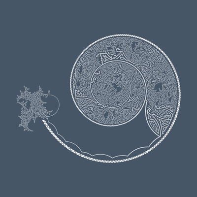 ammonitia   julien leonard dots art