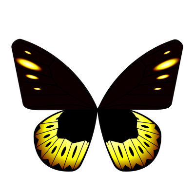 butterfly goliath variant   julien leonard dots art