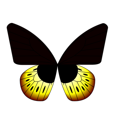 goliath butterfly   julien leonard dots art