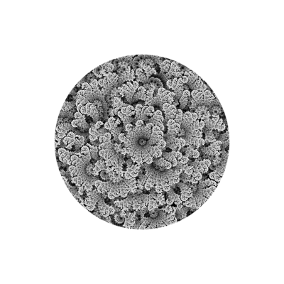salt flower   julien leonard dots art
