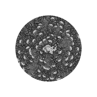 time dust garden   julien leonard dots art