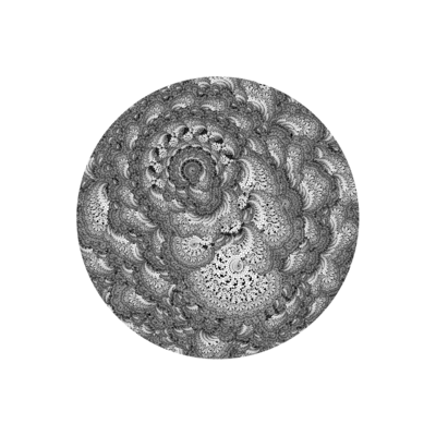 ying yang garden   julien leonard dots art