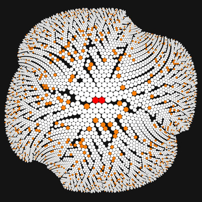 bitcoins tree   julien leonard dots art