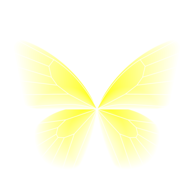 butterfly fluo   julien leonard dots art