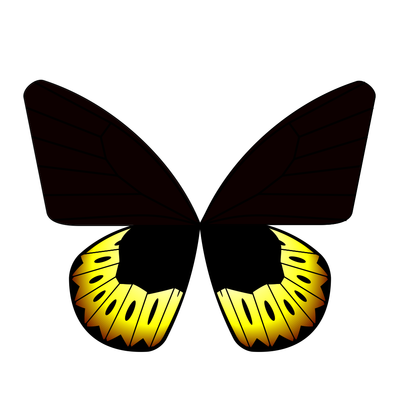 butterfly goliath 2 0   julien leonard dots art