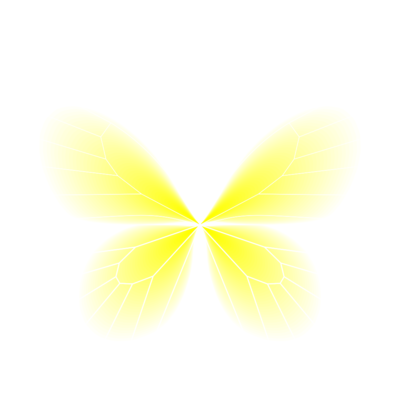 butterfly prime   julien leonard dots art