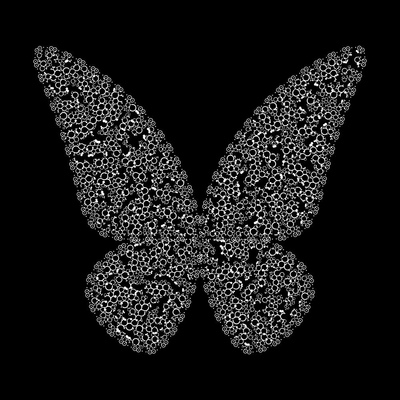 lace butterfly   julien leonard dots art