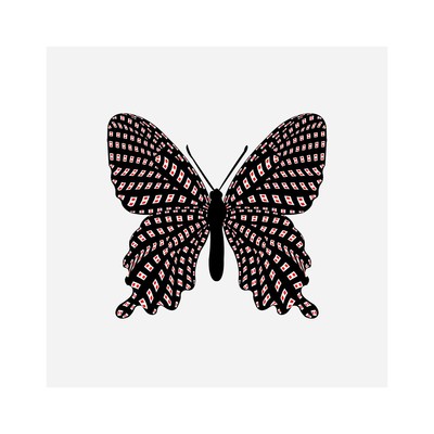 parides quadrius   julien leonard dots art