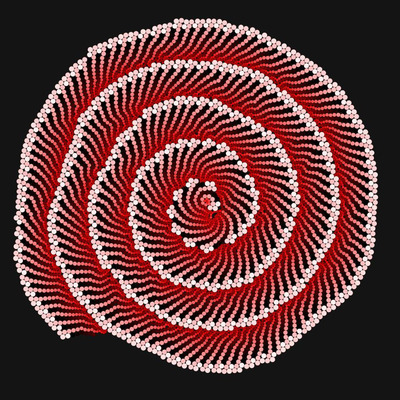 rose spiral   julien leonard dots art