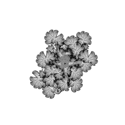 silver clover   julien leonard dots art