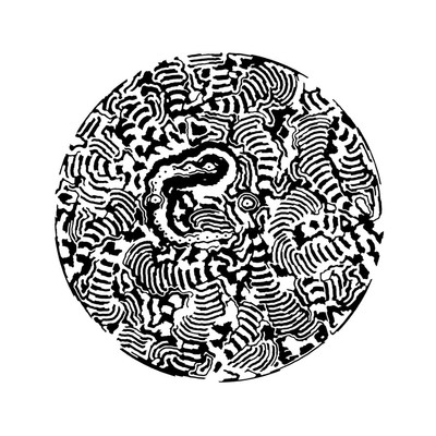 zebraic   julien leonard dots art